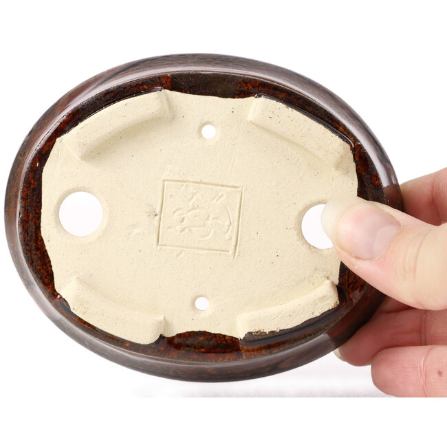 Maceta de bonsái marrón ovalada de Seto - 105 x 90 x 30 mm