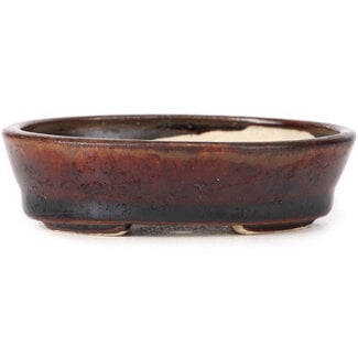 Seto 95 mm oval brown bonsai pot by Seto, Japan