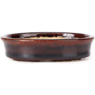 Seto 105 mm oval brown bonsai pot by Seto, Japan