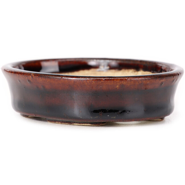 Vaso bonsai ovale marrone di Seto - 105 x 85 x 25 mm