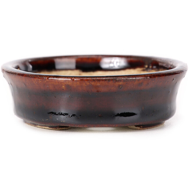 Vaso bonsai ovale marrone di Seto - 105 x 85 x 25 mm