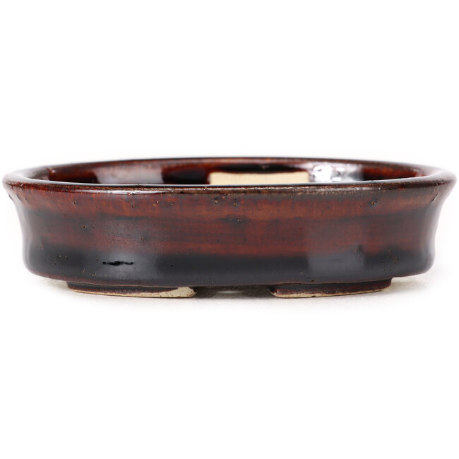 Vaso bonsai ovale marrone di Seto - 105 x 85 x 25 mm