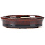 Oval brown bonsai pot by Seto - 105 x 85 x 25 mm