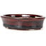 Oval brown bonsai pot by Seto - 105 x 85 x 25 mm