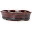 Vaso bonsai ovale marrone di Seto - 105 x 85 x 25 mm