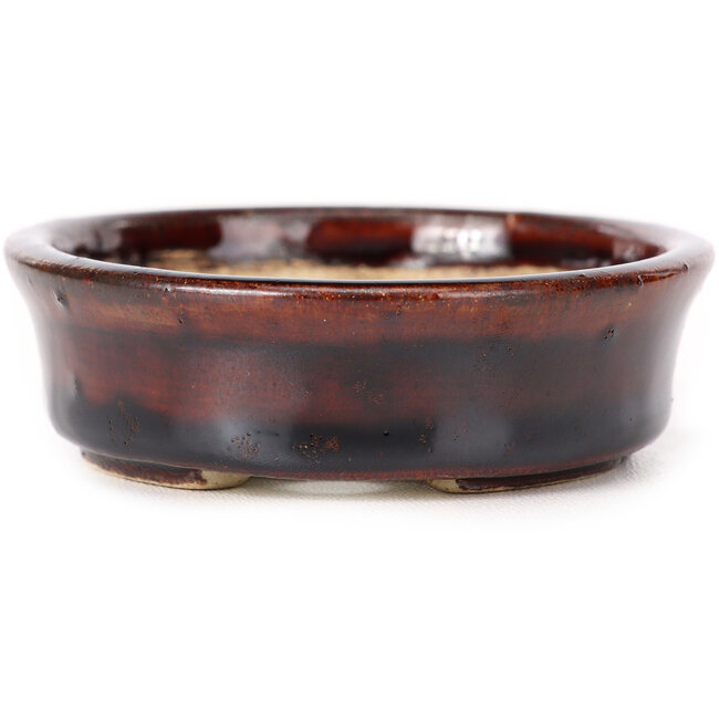 Vaso bonsai ovale marrone di Seto - 105 x 85 x 25 mm