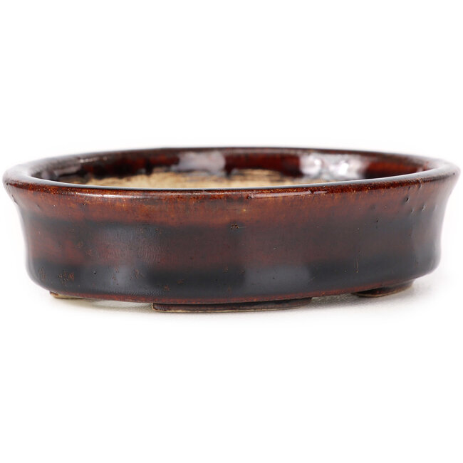 Vaso bonsai ovale marrone di Seto - 105 x 85 x 25 mm