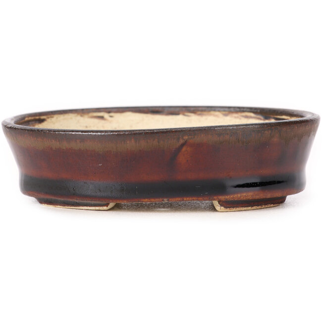 Maceta de bonsái marrón ovalada de Seto - 95 x 80 x 25 mm