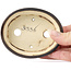 Ovale bruine bonsaipot van Seto - 95 x 80 x 25 mm