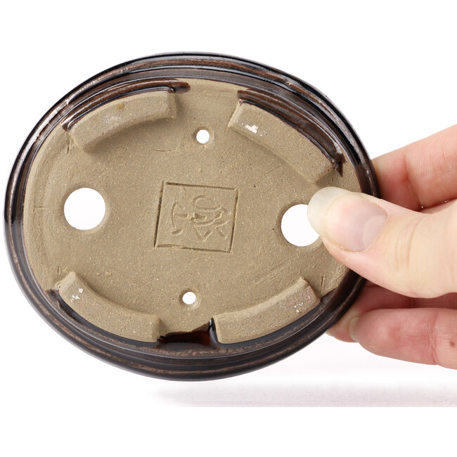 Maceta de bonsái marrón ovalada de Seto - 100 x 90 x 25 mm