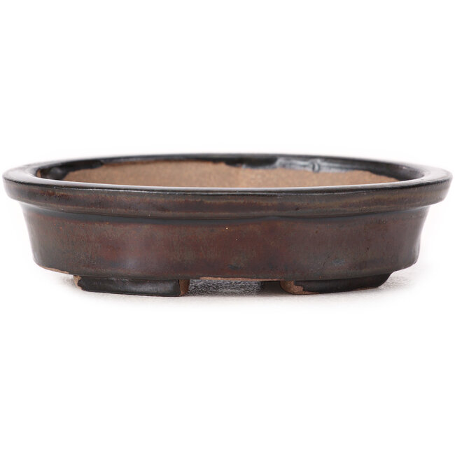 Vaso bonsai ovale marrone di Seto - 105 x 90 x 25 mm