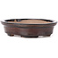 Vaso bonsai ovale marrone di Seto - 105 x 90 x 25 mm