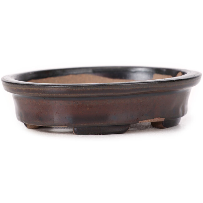 Vaso bonsai ovale marrone di Seto - 105 x 90 x 25 mm