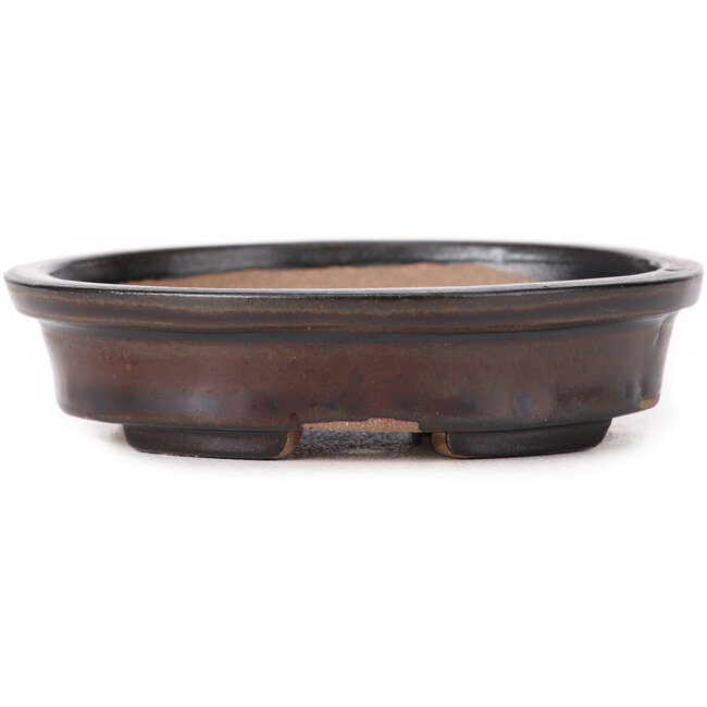 Vaso bonsai ovale marrone di Seto - 105 x 90 x 25 mm