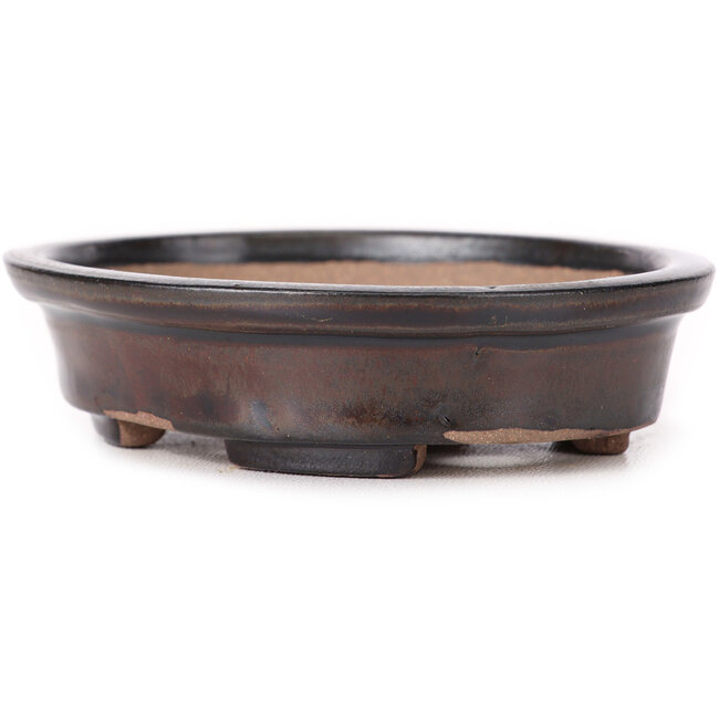 Oval brown bonsai pot by Seto - 105 x 90 x 25 mm