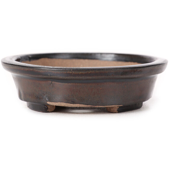 Maceta de bonsái marrón ovalada de Seto - 105 x 90 x 25 mm