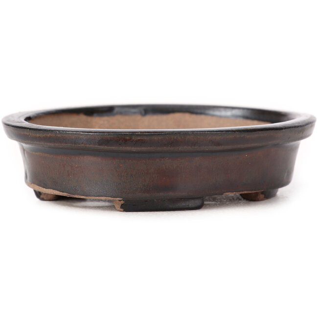 Oval brown bonsai pot by Seto - 105 x 90 x 25 mm