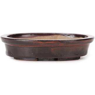 Seto 105 mm oval brown bonsai pot by Seto, Japan