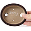 Pot à bonsaï ovale marron par Seto - 105 x 90 x 25 mm