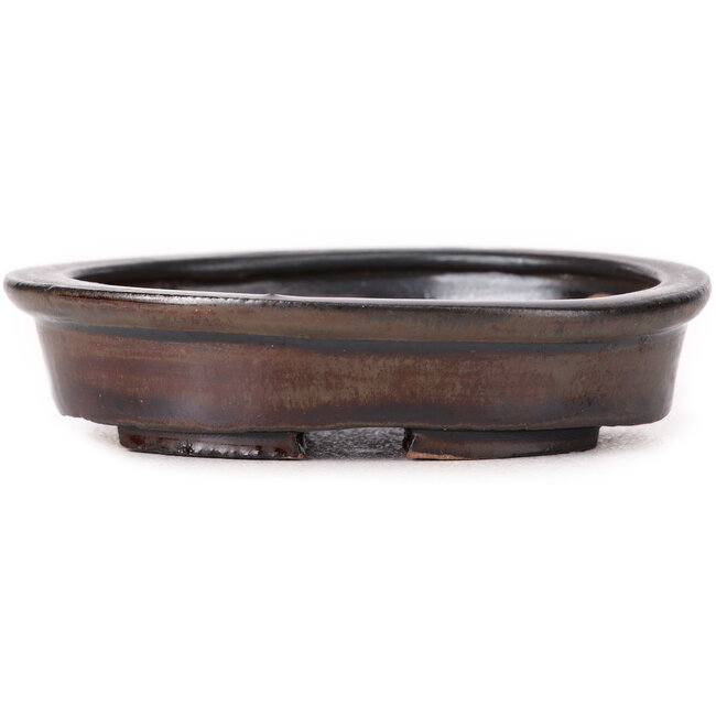 Oval brown bonsai pot by Seto - 100 x 85 x 25 mm