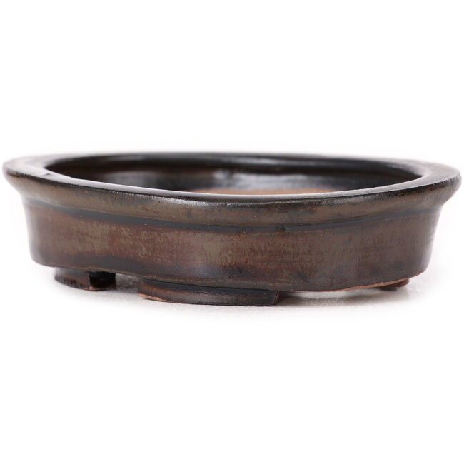 Pot à bonsaï ovale marron par Seto - 100 x 85 x 25 mm