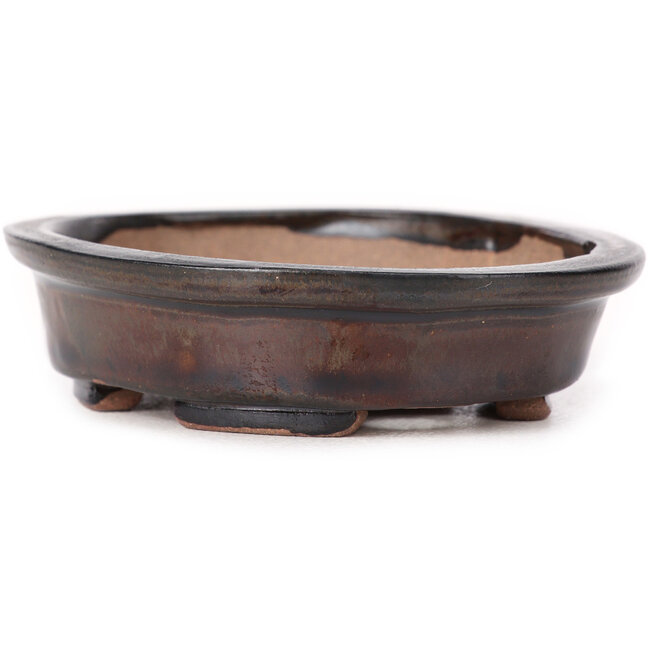 Vaso bonsai ovale marrone di Seto - 105 x 85 x 25 mm