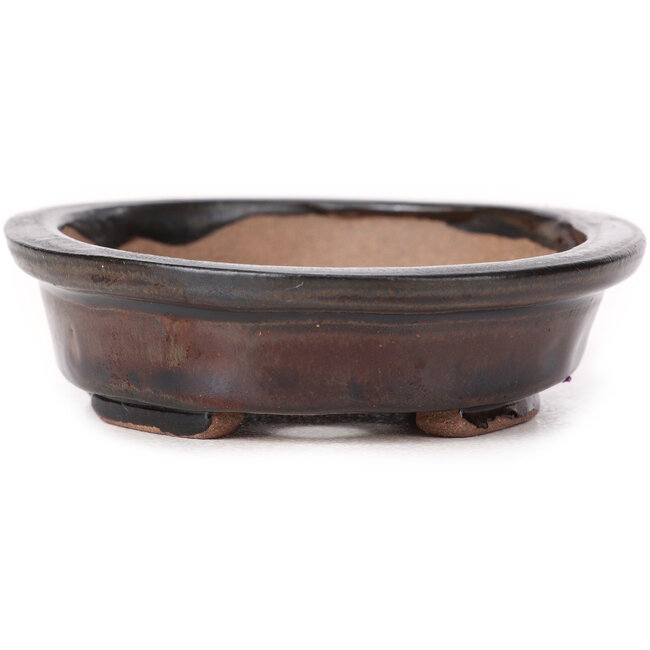 Maceta de bonsái marrón ovalada de Seto - 105 x 85 x 25 mm