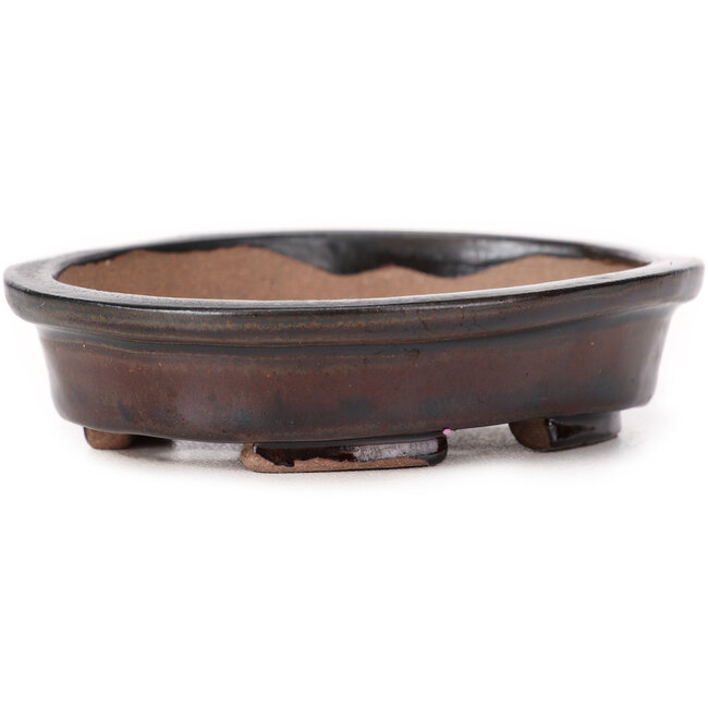 Pot à bonsaï ovale marron par Seto - 105 x 85 x 25 mm