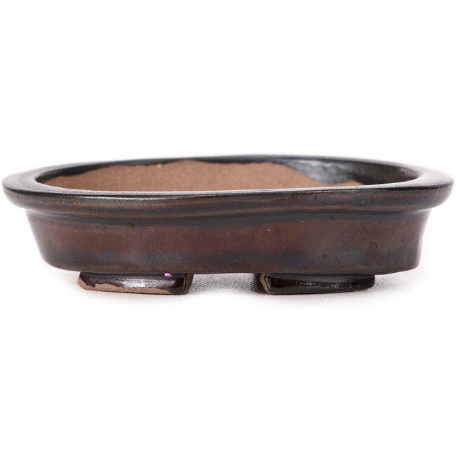 Vaso bonsai ovale marrone di Seto - 105 x 85 x 25 mm