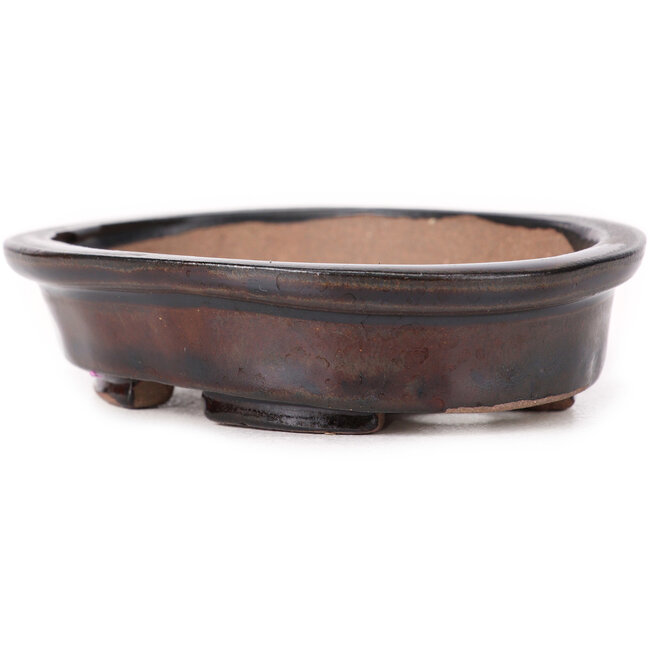 Pot à bonsaï ovale marron par Seto - 105 x 85 x 25 mm
