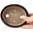 Ovale bruine bonsaipot van Seto - 105 x 85 x 25 mm