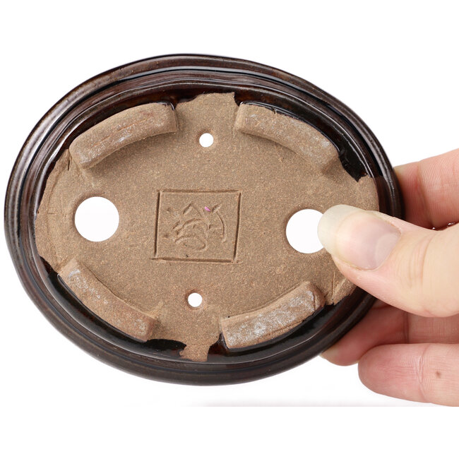 Pot à bonsaï ovale marron par Seto - 105 x 85 x 25 mm