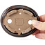 Ovale bruine bonsaipot van Seto - 105 x 85 x 25 mm