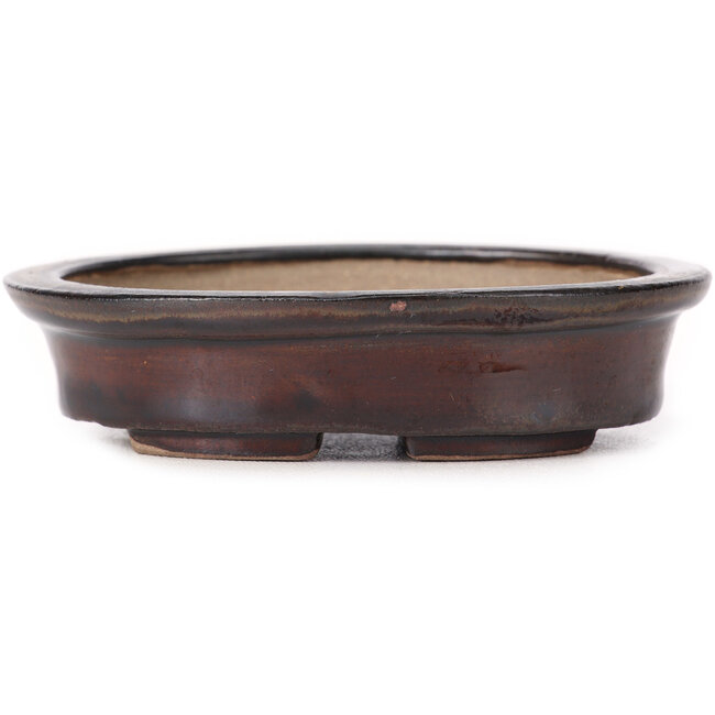 Vaso bonsai ovale marrone di Seto - 105 x 85 x 25 mm