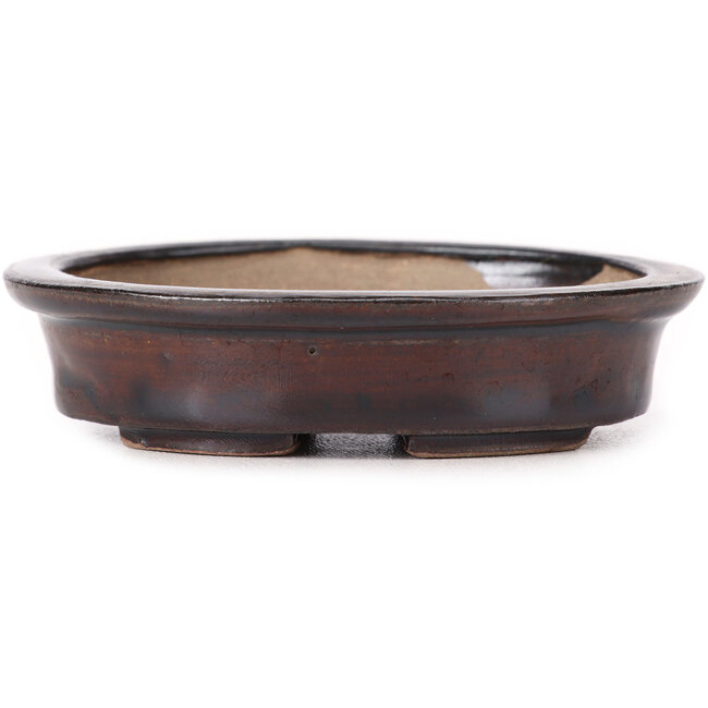 Pot à bonsaï ovale marron par Seto - 105 x 85 x 25 mm