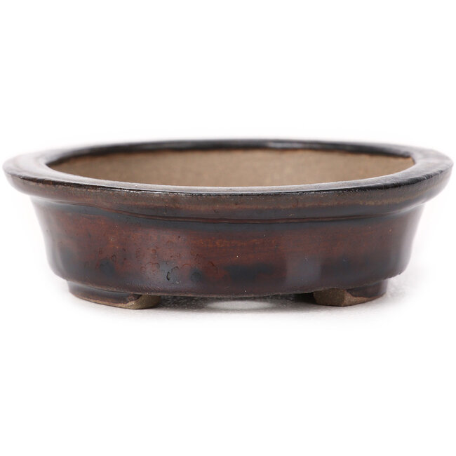 Pot à bonsaï ovale marron par Seto - 105 x 85 x 25 mm