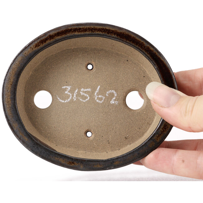 Vaso bonsai ovale marrone di Seto - 105 x 85 x 25 mm