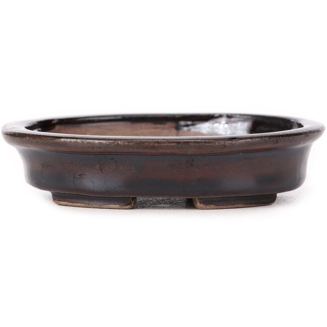 Vaso bonsai ovale marrone di Seto - 105 x 90 x 25 mm