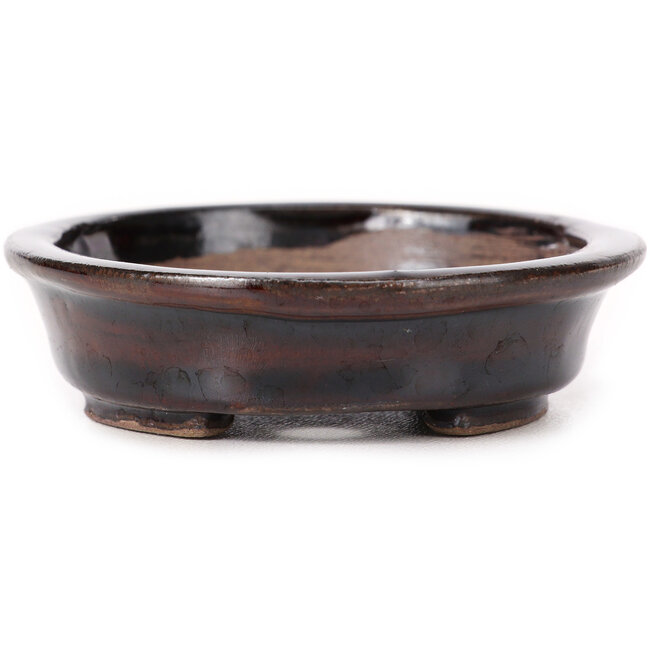 Vaso bonsai ovale marrone di Seto - 105 x 90 x 25 mm