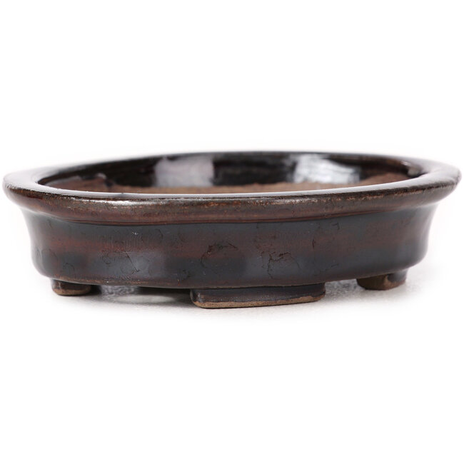 Pot à bonsaï ovale marron par Seto - 105 x 90 x 25 mm