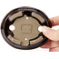 Ovale bruine bonsaipot van Seto - 105 x 90 x 25 mm