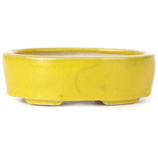 Seto 90 mm oval yellow bonsai pot by Seto, Japan