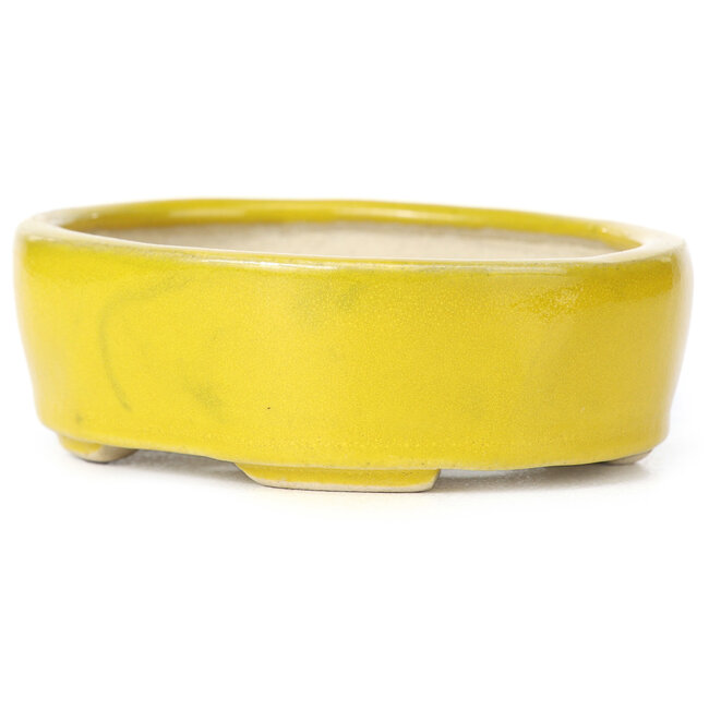 Maceta de bonsái amarilla ovalada de Seto - 90 x 75 x 30 mm