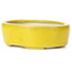 Pot à bonsaï ovale jaune par Seto - 90 x 75 x 30 mm