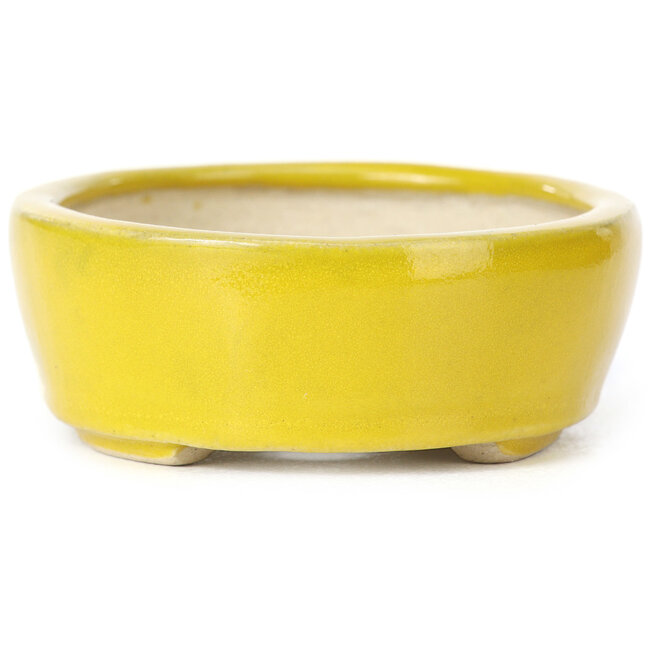 Maceta de bonsái amarilla ovalada de Seto - 90 x 75 x 30 mm
