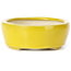 Oval yellow bonsai pot by Seto - 90 x 75 x 30 mm