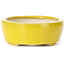 Pot à bonsaï ovale jaune par Seto - 90 x 75 x 30 mm