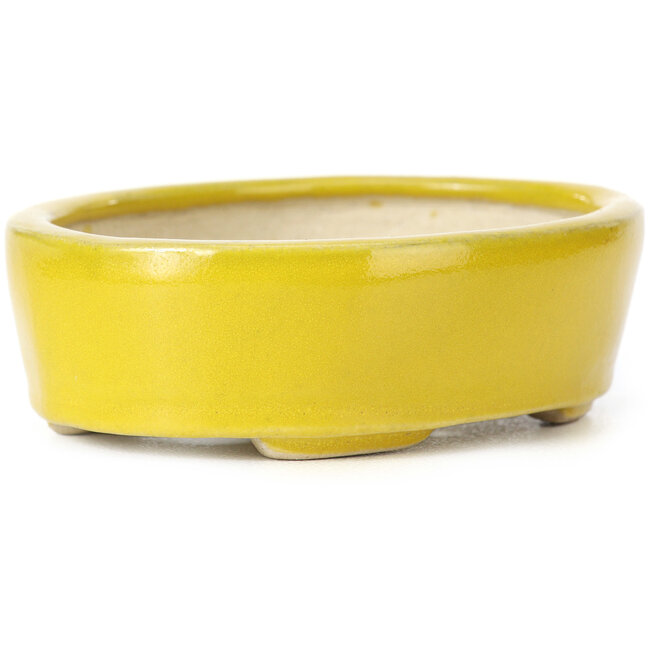 Vaso bonsai giallo ovale di Seto - 90 x 75 x 30 mm