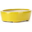 Oval yellow bonsai pot by Seto - 90 x 75 x 30 mm