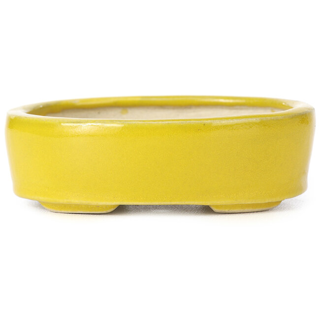 Ovale gelbe Bonsaischale von Seto - 90 x 75 x 30 mm